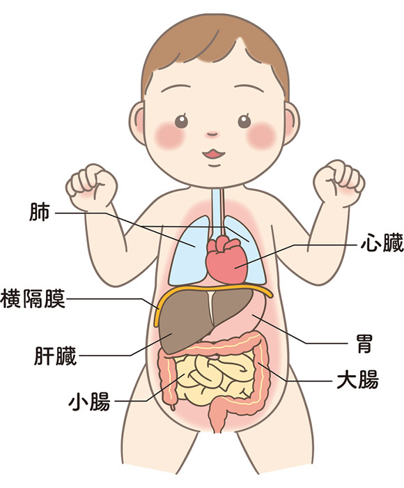 健康な赤ちゃん