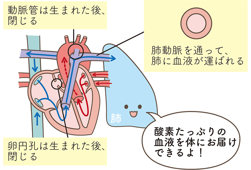 健康な赤ちゃん