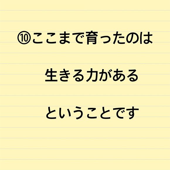 医療関係者にかけられて嬉しかった言葉