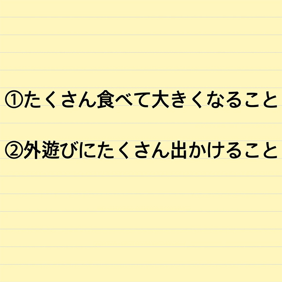 新年の目標